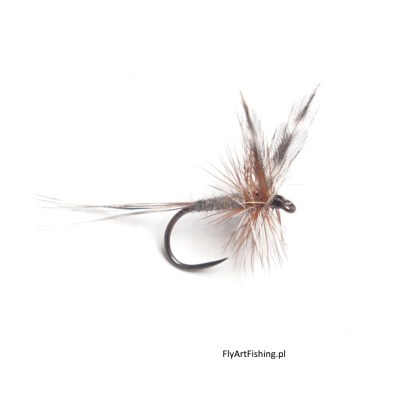 Sucha mucha wędkarska adams dry fly na pstrągi pstrąga trout trouts